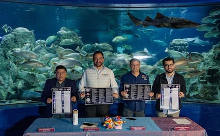 Noche de Museos: habrá entrada gratis a 33 recintos y descuentos en restaurantes