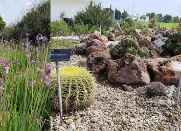 Jardín Botánico de la BUAP: Horarios, ubicación y guía de visitas