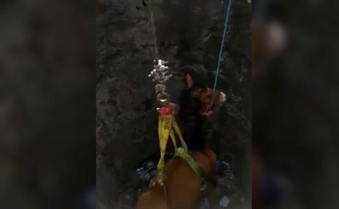 Un caballo cayó a un pozo y fue rescatado por elementos de Bomberos y Protección Civil de Atlixco. | Foto: Facebook Ariadna Ayala