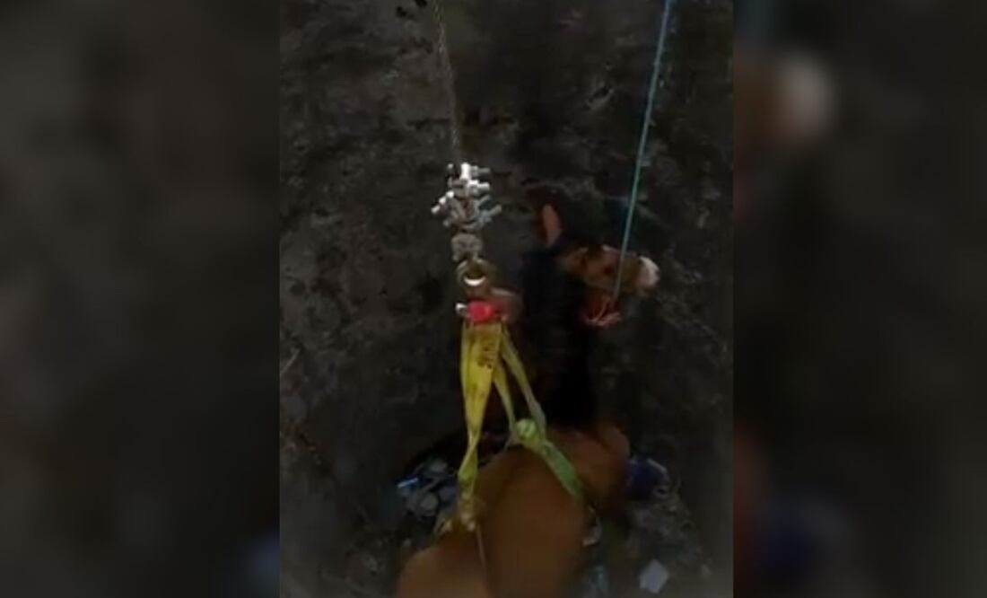 Un caballo cayó a un pozo y fue rescatado por elementos de Bomberos y Protección Civil de Atlixco. | Foto: Facebook Ariadna Ayala