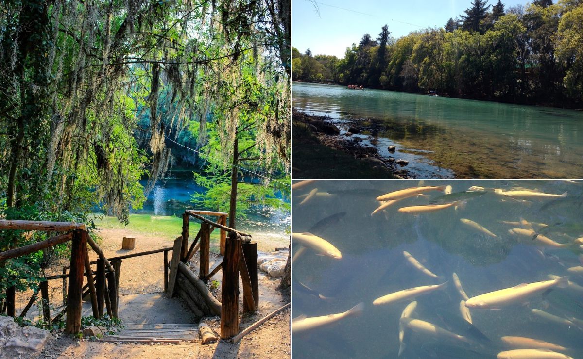 El Bosque de las Truchas es un lugar maravilloso y está cerca de Puebla | Foto: Producciones Yerba Mala / sanmiguelregla.com