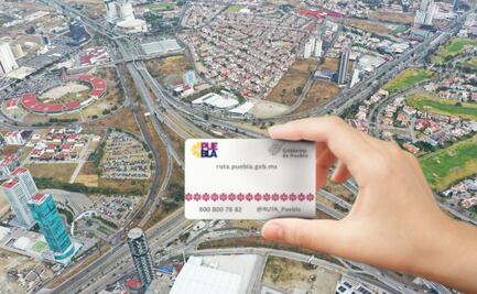 Línea 4 de Ruta 4: Esto se sabe sobre los viajes gratis 