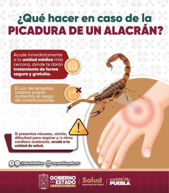 Foto: Secretaría de Salud Puebla