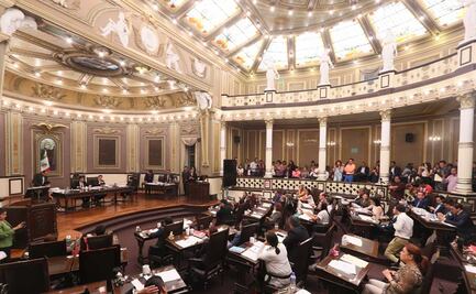 Mucha lana y poco informe: Así han cumplido los primeros diputados locales