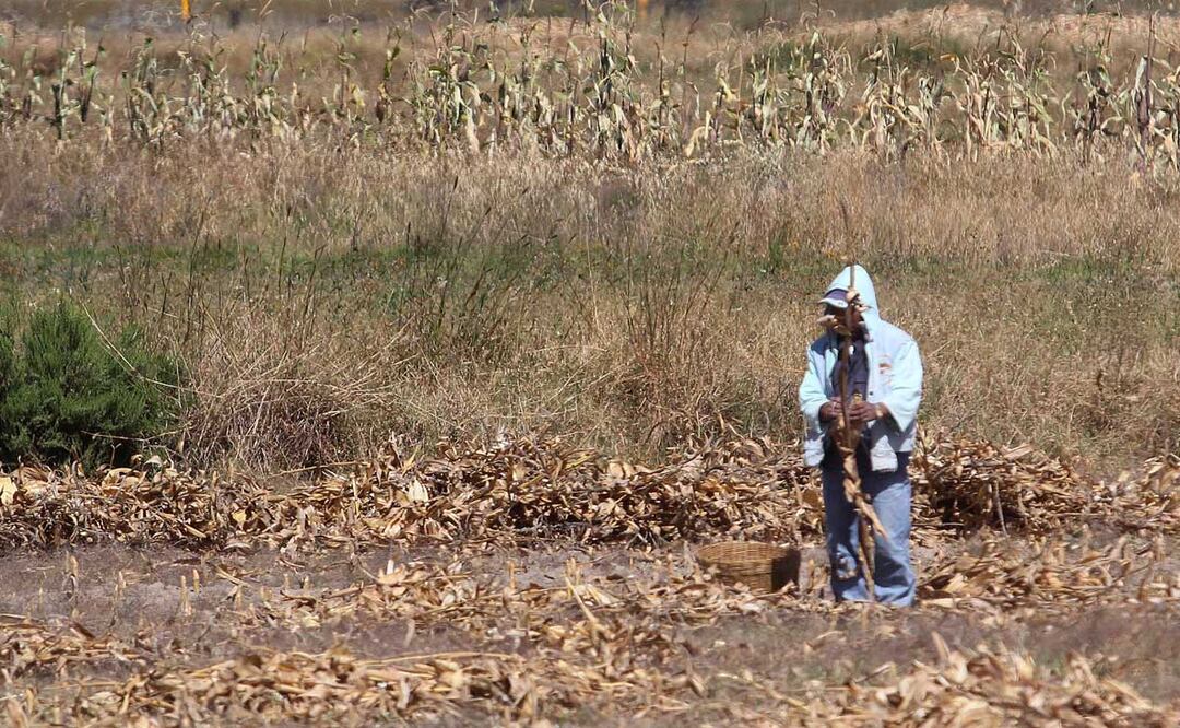 Foto: Archivo El Universal