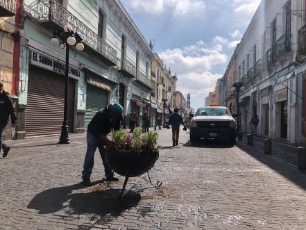 Colocan macetones para fijar el doble sentido en la “calle de los dulces”