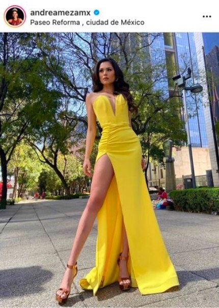 Andrea Meza: los mejores looks de la mexicana que se coronó en Miss Universo