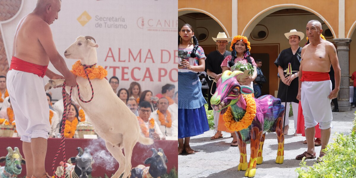Activistas se oponen a la tradicional matanza de chivos en Tehuacán