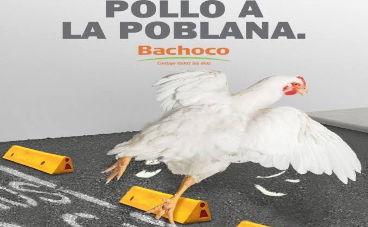 Foto: Redes Sociales
