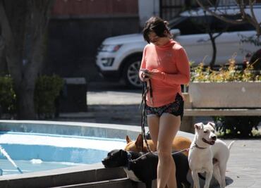 Estar soltera está de moda. Matrimonios a la baja