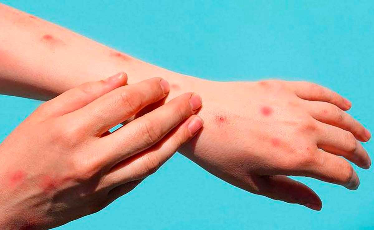 Foto: Archivo El Universal