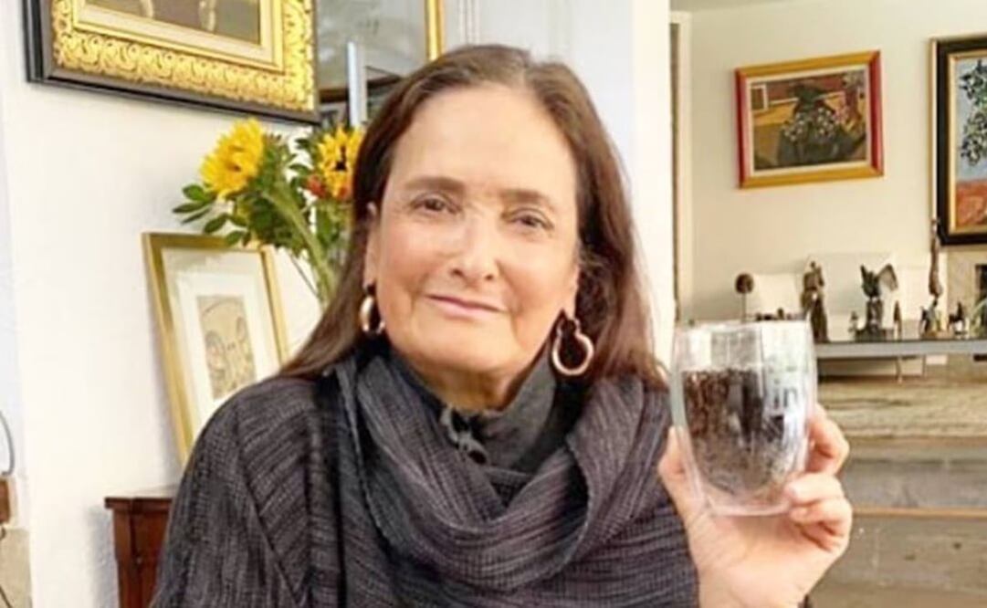 Difunden presunto audio de Patricia Armendáriz gritándole a personas de la Selva Lacandona. Foto: Archivo EL UNIVERSAL