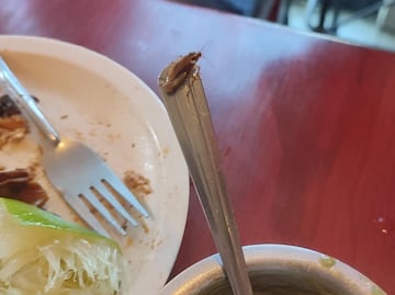Clientes descubren cucaracha mientras comían en Saborni’s Puebla