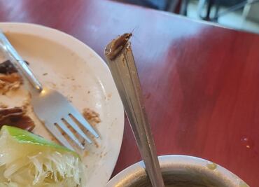 Clientes descubren cucaracha mientras comían en Saborni’s Puebla
