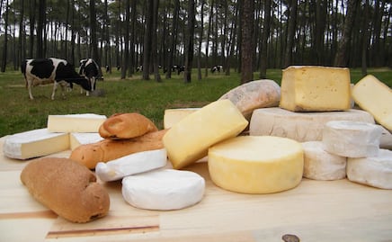 Rancho Cuatro Encinos. La granja con vacas libres que fabrica los mejores quesos de Zacatlán