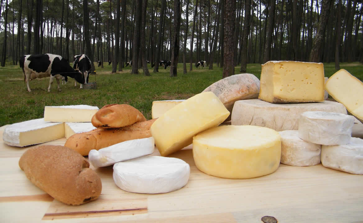 Rancho Cuatro Encinos. La granja con vacas libres que fabrica los mejores quesos de Zacatlán