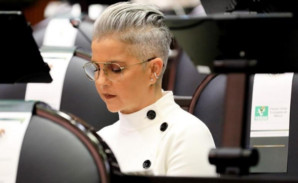 "Todos tienen el dedo apuntándome": diputada Federica Quijano, integrante de Kabah, sobre la reforma eléctrica