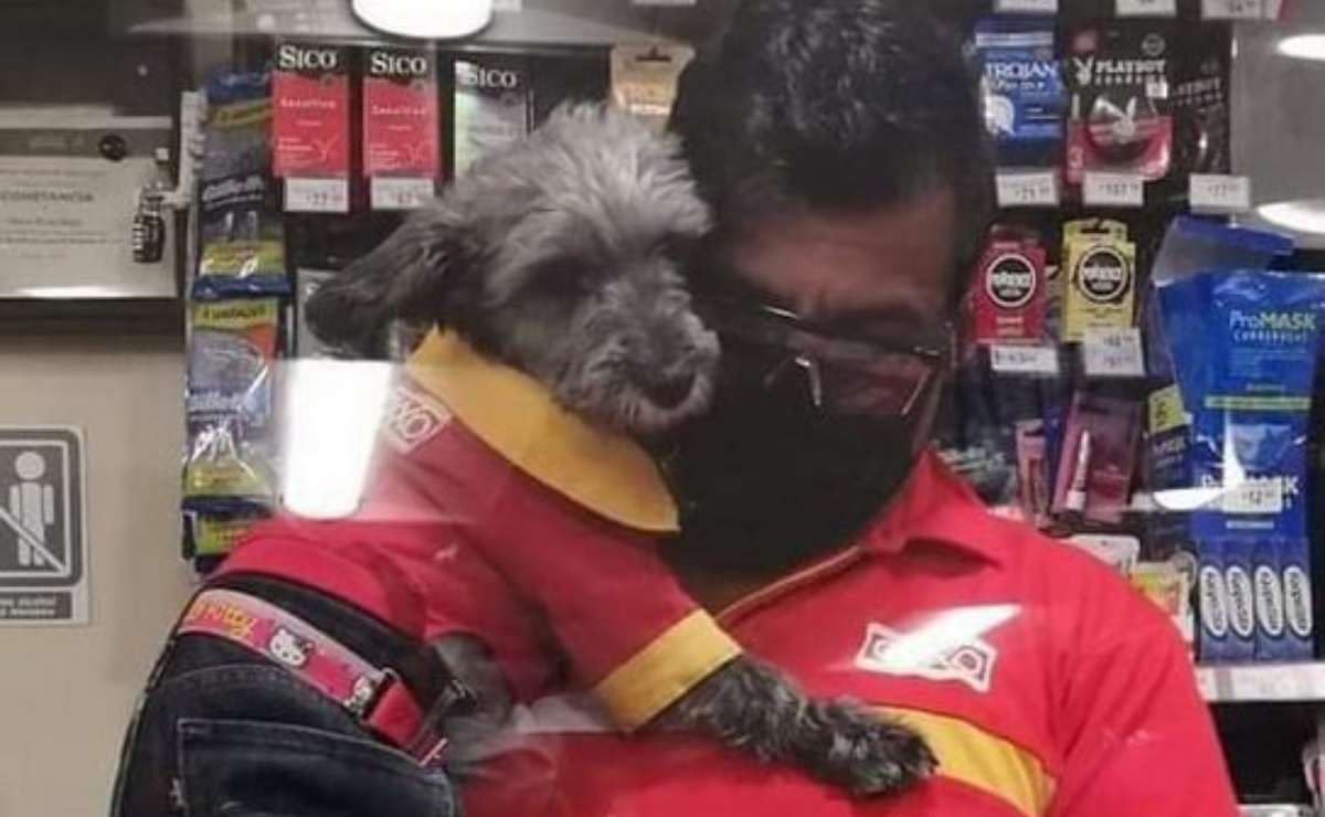 VIRAL: Captan a perrito 'trabajador' de Oxxo en caja para cobrar