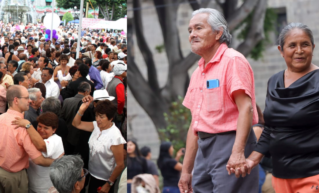 Día de las personas adultas mayores, 28 de agosto / Foto EsImagen
