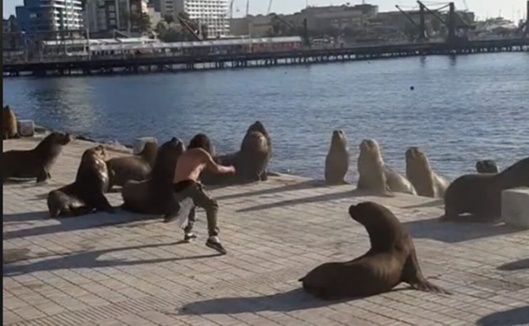 Foto: tomada de video. @alex_matatanclown