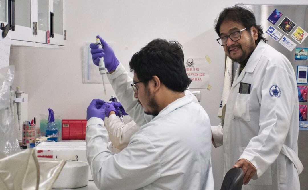 Según la Organización para la Cooperación y el Desarrollo Económico, la población mexicana tiene una de las tasas más altas de obesidad | Foto: BUAP