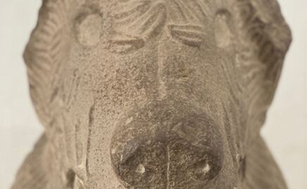 Conoce al perro más antiguo de Tepeaca, su historia data del Siglo XVI