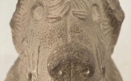 Conoce al perro más antiguo de Tepeaca, su historia data del Siglo XVI