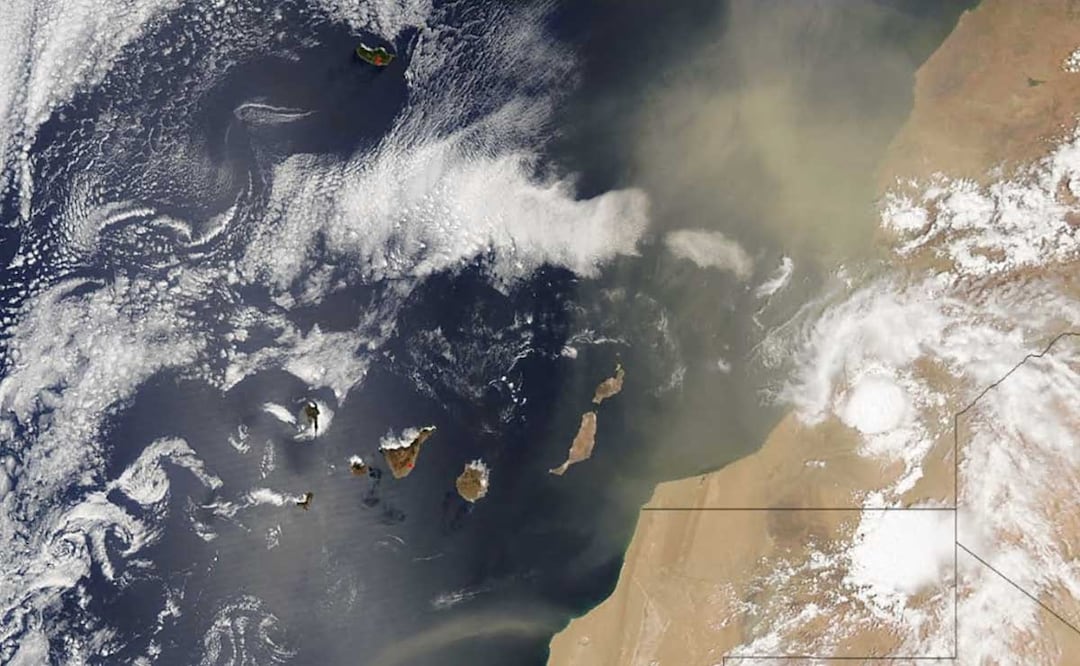 Foto: Archivo El Universal