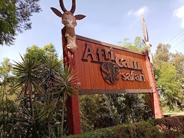 ¿Sabes por qué se llama Africam Safari?, aquí te lo decimos