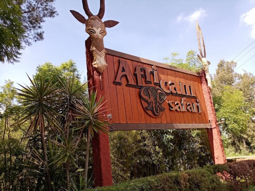 El parque de conservación animal Africam Safari nació gracias al capitán Carlos Camacho Espíritu | EsImagen