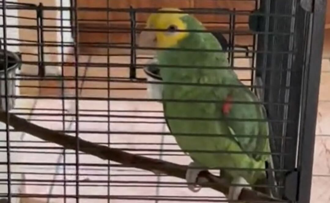 Foto: Tomada de video