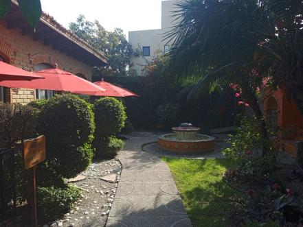 Visita La Buena Vibra, un hotel solo para adultos en Tepoztlán