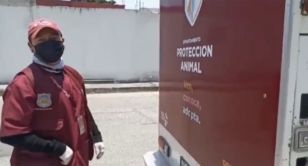 ¡Final feliz! rescatan a perrito maltratado en Loma Linda