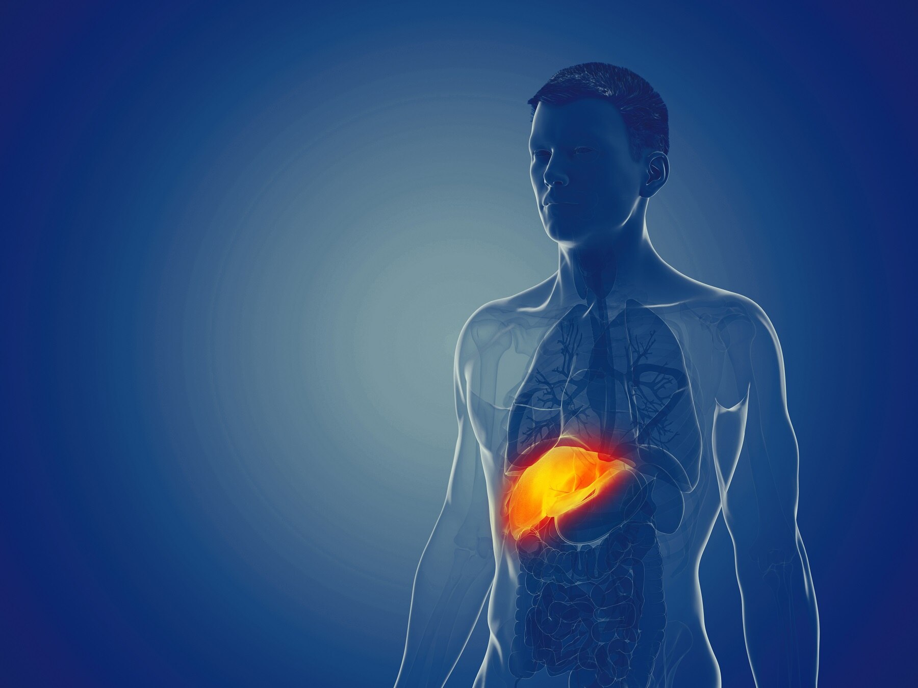 La fibrosis hepática es la primera fase de la enfermedad hepática y se refiere a una cicatrización leve en el hígado que ocurre debido a daño o inflamación repetidos o continuos.

Foto: Producción El Universal Puebla