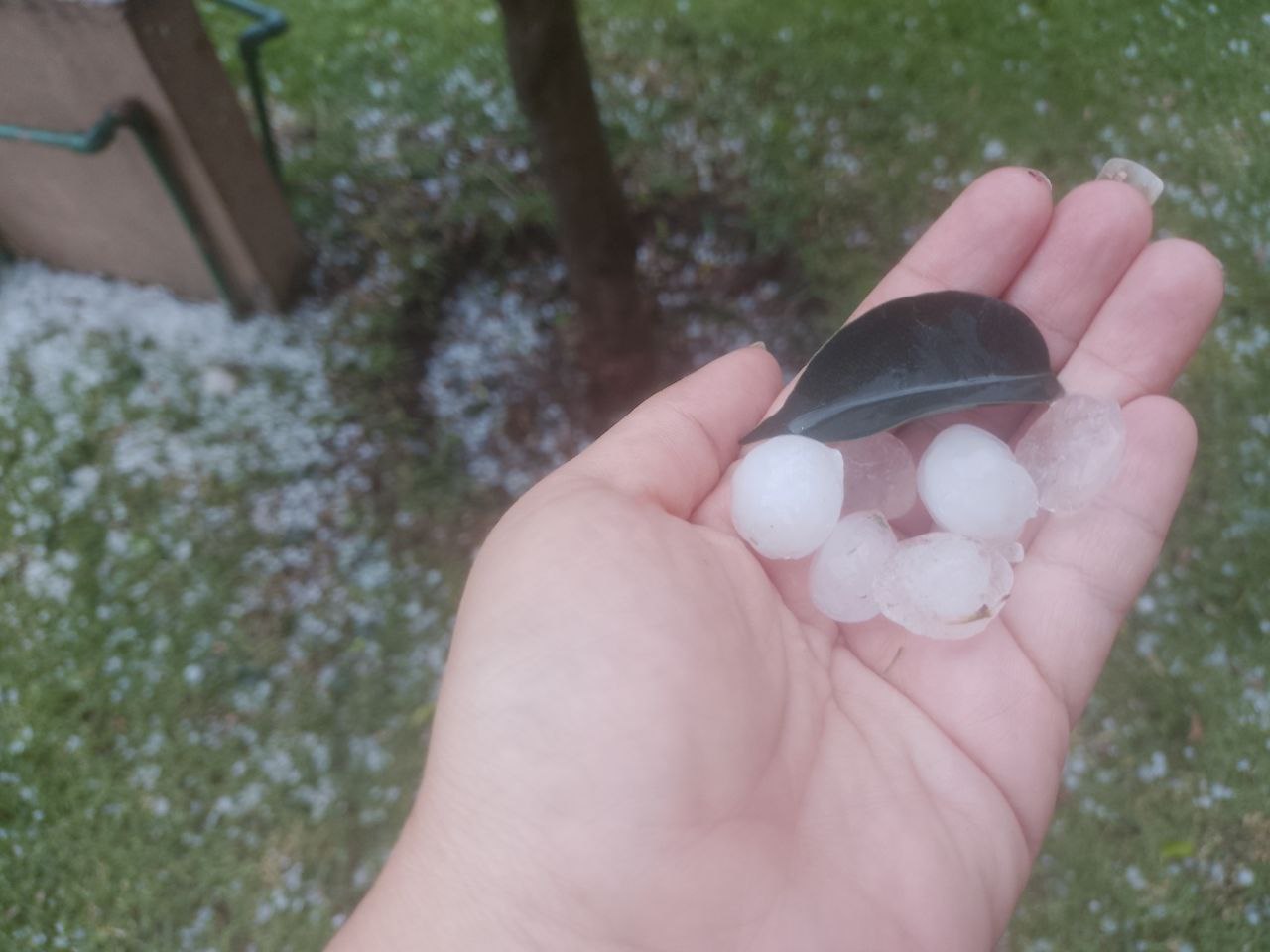 VIDEO Y FOTOS Cuautlancingo y Coronango se pintan de blanco por fuerte granizada