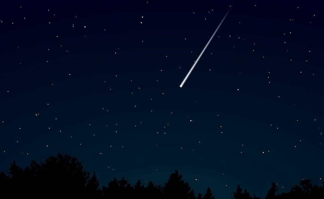 FOTO: Twitter Mar Gómez