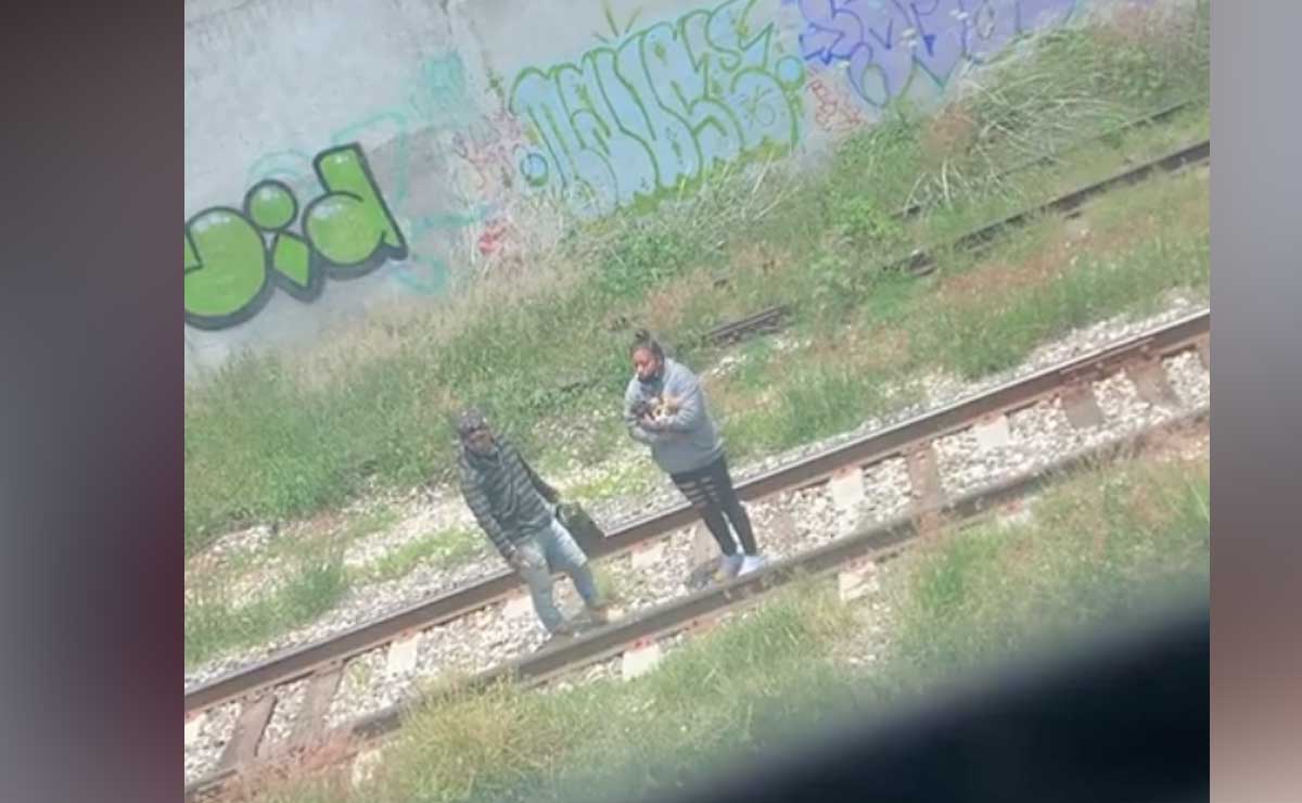 Abandonan a perritos en las vías del tren de Puebla