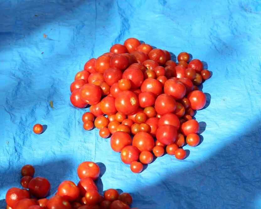 Activistas piden evitar el desperdicio de alimentos por las personas que no tienen recursos para comer | Foto: Agencia Es Imagen para El Universal Puebla