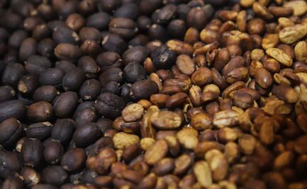 ¿Cuál es el alimento que más produce el campo poblano?