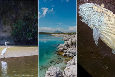 5 lugares en Puebla para ver el mar sin salir del estado