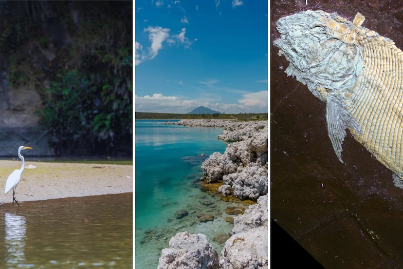 5 lugares en Puebla para ver el mar sin salir del estado