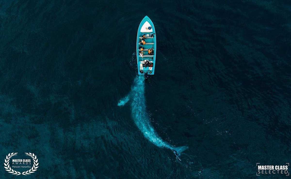 Día Mundial de la Fotografía: 5 talentosos fotógrafos poblanos