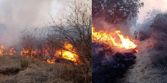 ¿Ya fue controlado el incendio en Flor del Bosque? Esto dice Medio Ambiente