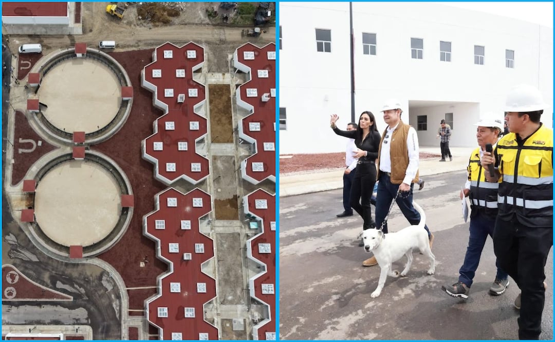 Centro de Atención para Seres Sintientes de Puebla, casi listo para iniciar operaciones | Foto: Gobierno de Puebla.