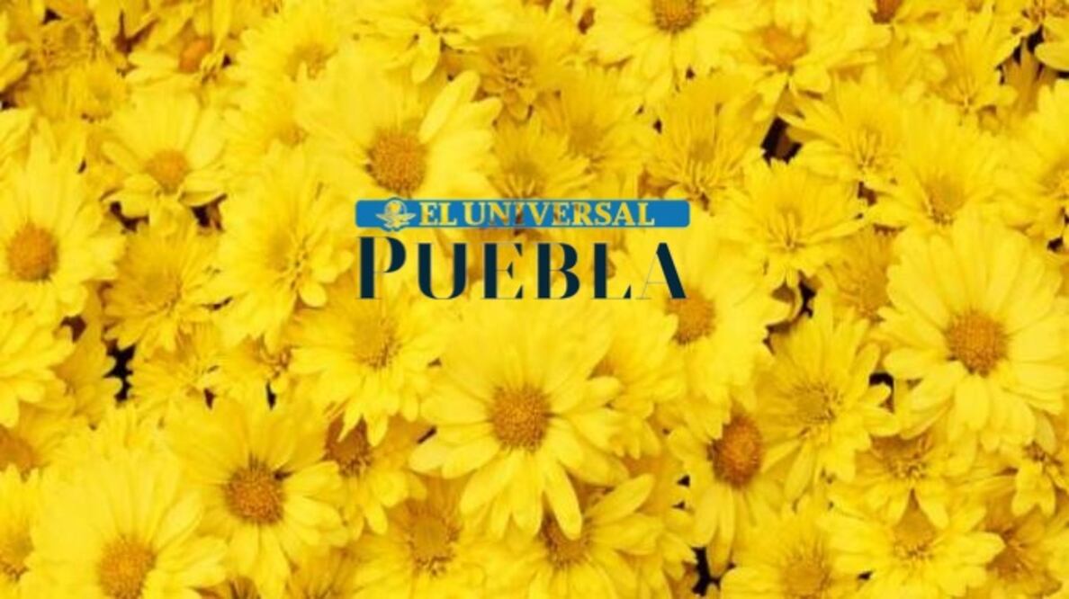 Esta nueva tradición parece haber surgido principalmente gracias a la viralización en TikTok de la canción “Flores Amarillas” de Florencia Bertotti, que es el tema principal de la popular serie argentina “Floricienta”.

Foto: Producción El Universal Puebla