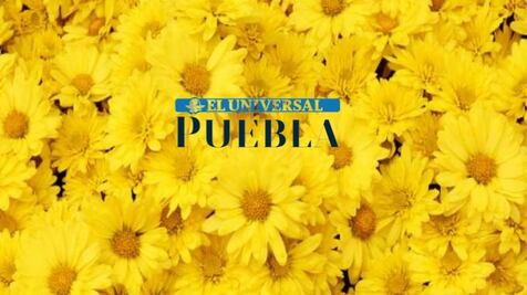 Esta es la razón por la que se regalan flores amarillas el 21 de septiembre