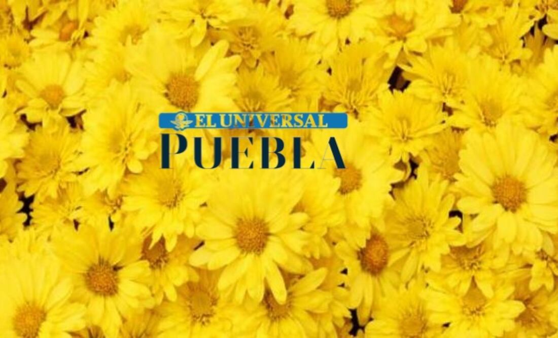Esta nueva tradición parece haber surgido principalmente gracias a la viralización en TikTok de la canción “Flores Amarillas” de Florencia Bertotti, que es el tema principal de la popular serie argentina “Floricienta”.
Foto: Producción El Universal Puebla