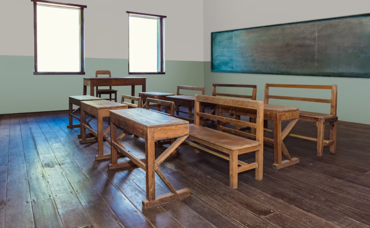 ¿Cuál es la educación promedio del poblano?