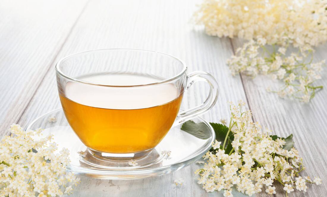 El sauco es un arbusto nativo de Europa, famoso por sus flores blancas y frutos negros, que se emplean en varias preparaciones medicinales y culinarias.
Foto: Producción El Universal Puebla