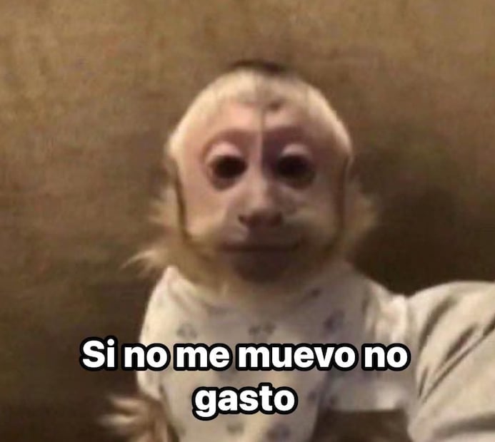 Foto: Redes sociales